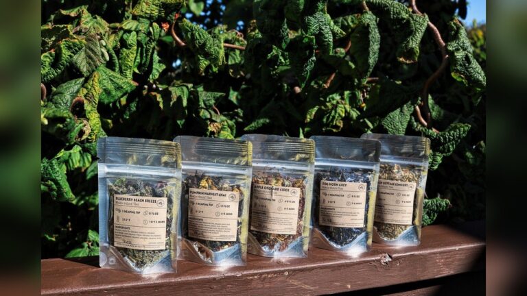 Five pouches of artisanal loose leaf tea: Blueberry Beach Breeze, Pumpkin Harvest Chai, Apple Orchard Clover, Foggy Morning, Cottage Comfort