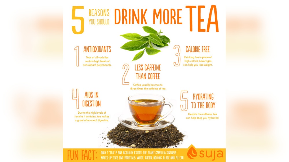 Infographic: 5 reasons to drink more tea, including antioxidants, hydration, and calorie-free benefits.