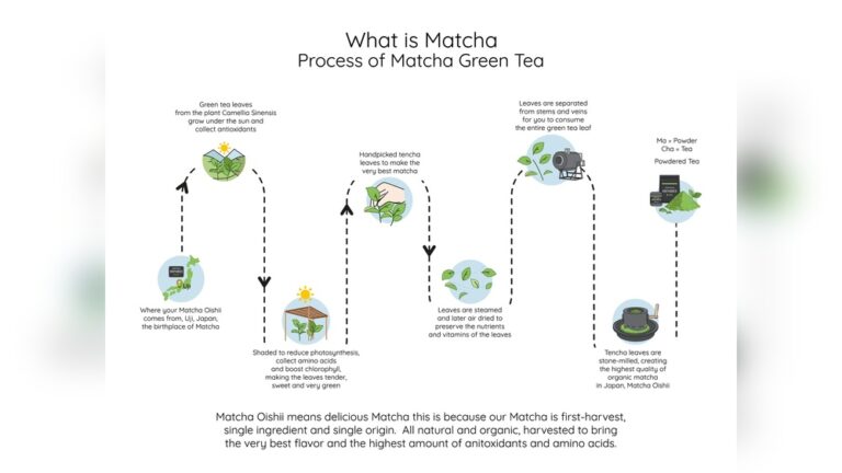 Matcha green tea process: sun-grown leaves, steaming, drying, stone-milling for pure flavor.