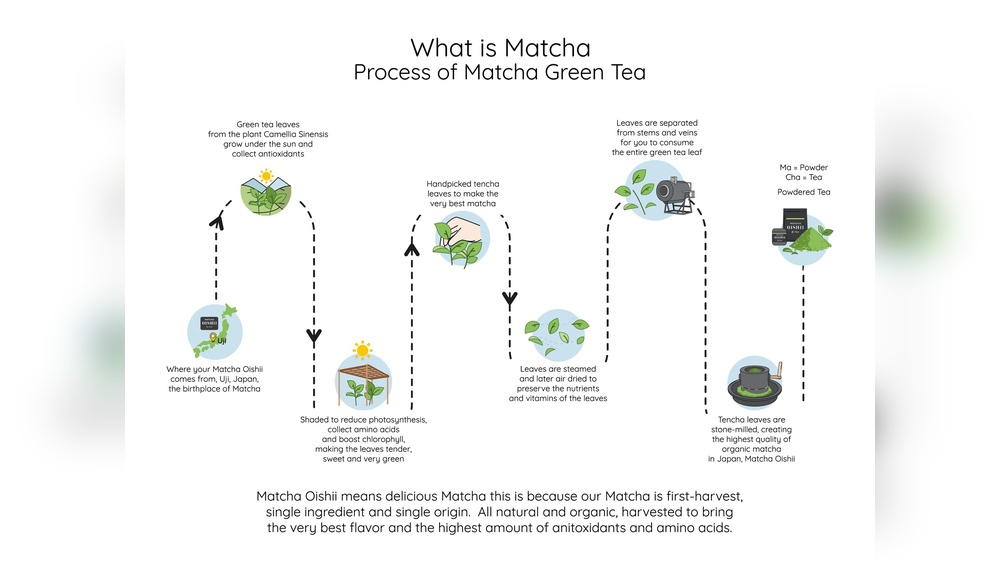 Matcha green tea process: sun-grown leaves, steaming, drying, stone-milling for pure flavor.