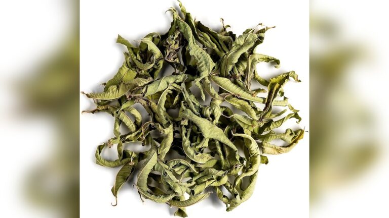 Dried lemon verbena tea leaves, handpicked for pure flavor.
