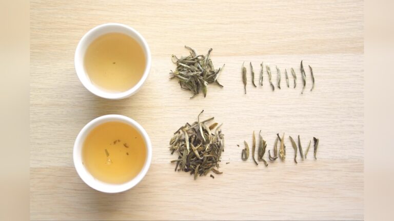 Two cups of white tea with loose Silver Needle tea leaves
