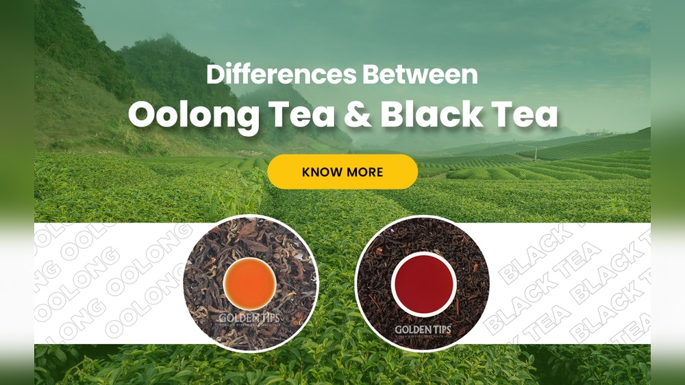 Oolong tea vs. black tea comparison: visual differences and key facts