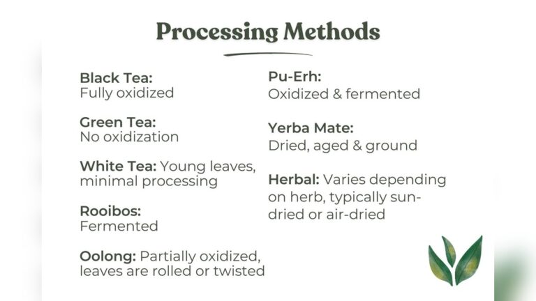 Tea processing methods: Black, Green, White, Rooibos, Oolong, Pu-Erh, Yerba Mate, Herbal