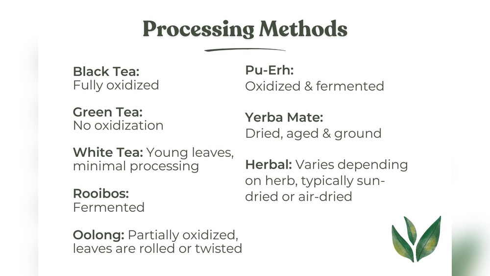 Tea processing methods: Black, Green, White, Rooibos, Oolong, Pu-Erh, Yerba Mate, Herbal