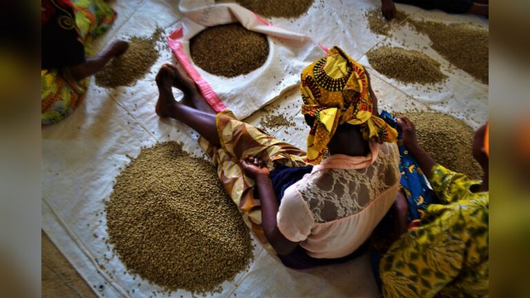 Rwandan women sorting coffee beans, crucial to Rwanda's economy.